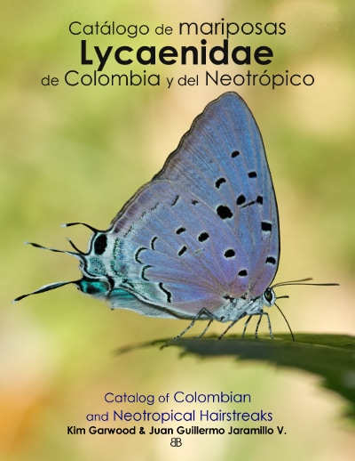 ImagenCover catalog Lycaenidae Butterfly Family Butterflycatalogs