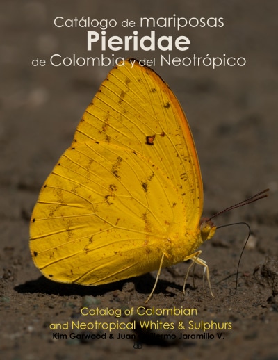 ImagenCover catalog Pieridae Butterfly Family Butterflycatalogs