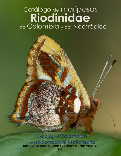 ImagenCover catalog Riodinidae Butterfly Family Butterflycatalogs